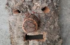 Máscara de cortiça 3