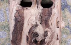 Máscara não identificada