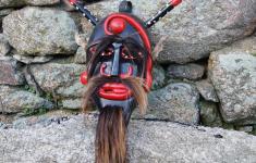 Máscara do Chocalheiro de Bemposta