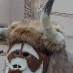 Entruejo Carrizo de laa Ribera